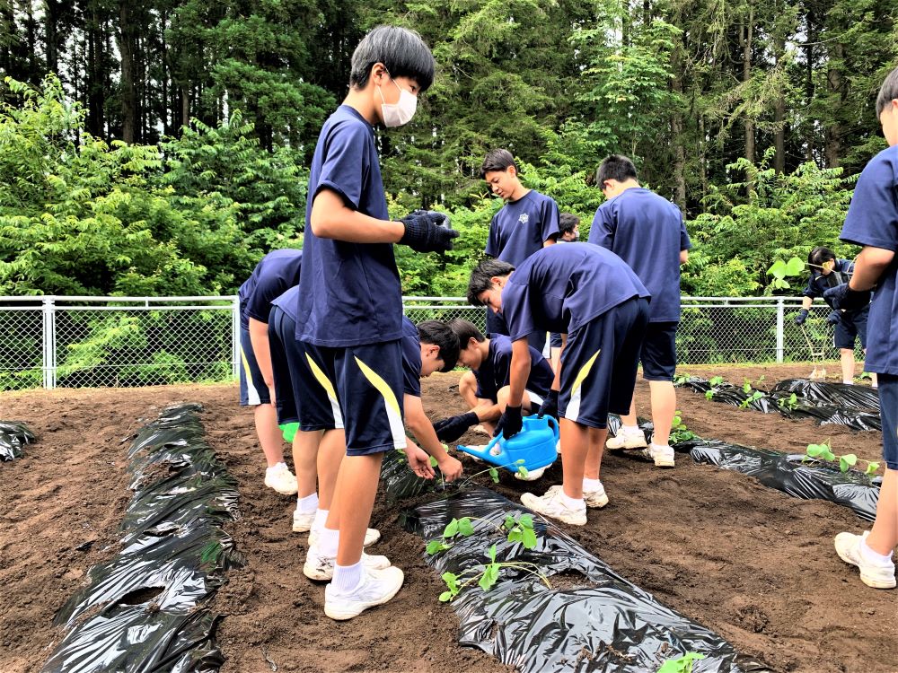 《圖說》戶澤學園學生在校園種菜情形。〈教育局提供〉