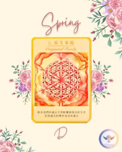 【Angela 共鳴的藍鷹占卜專欄】面對新的計畫/新的目標,我應該採取什麼樣的行動? 14 486952780 1228460942622072 7624822841294622259 n
