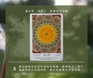 【Angela 共鳴的藍鷹占卜專欄】🌿 小滿心理測驗 7 499315798 1281618670639632 4828996983692846585 n