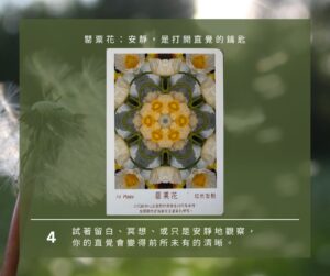 【Angela 共鳴的藍鷹占卜專欄】🌿 小滿心理測驗 9 499552494 1281618757306290 7133341876977807734 n
