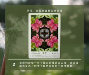 【Angela 共鳴的藍鷹占卜專欄】🌿 小滿心理測驗 5 499947250 1281618603972972 3503582666808977169 n