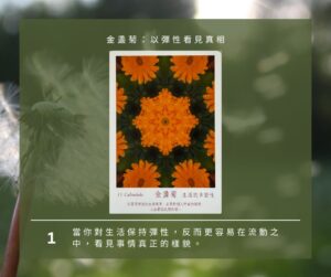 【Angela 共鳴的藍鷹占卜專欄】🌿 小滿心理測驗 3 499975046 1281618513972981 8315914234968834314 n