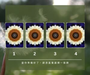 【Angela 共鳴的藍鷹占卜專欄】🌿 小滿心理測驗 1 500007484 1280851490716350 4170472738141242742 n