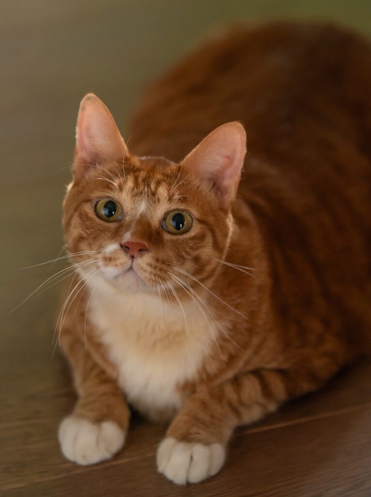 網友許願成真曹政奭 8/5 首度來台宣傳!《我和我的殭屍女兒》橫掃韓國票房預售冠軍 3 我和我的殭屍女兒 新聞稿照03 《我和我的殭屍女兒》口碑沸騰!記者盛讚:完美的漫改作品!