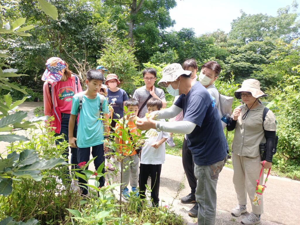 大坑蝶螢嘉年華「蝶」起國際友誼 吸引日本博士生親證台灣紫斑蝶魅力 1 蝴蝶蜜源植物解說