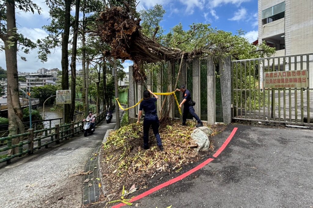 MEITU 20250814 090428266