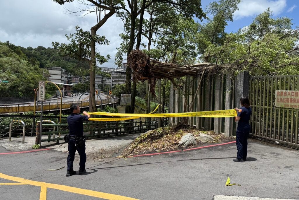 MEITU 20250814 090445278