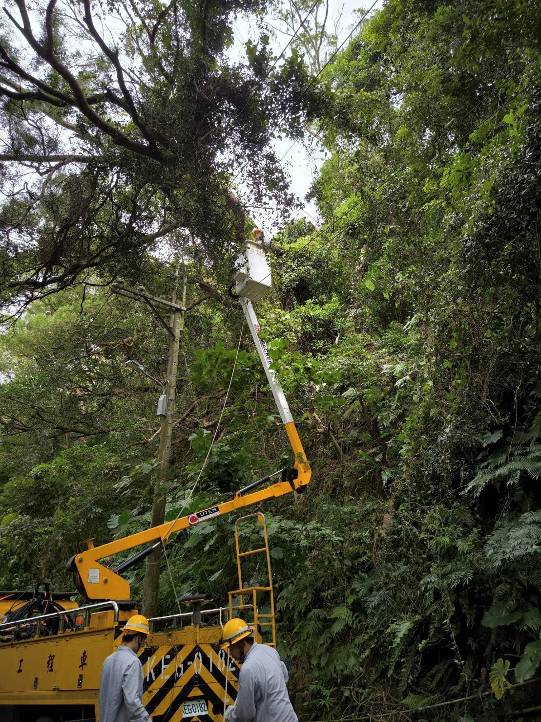 楊柳來襲 台電基隆、北市、北北、北西、北南區處總動員應戰 4 《圖說》預先增派人力巡視線路,全力戒備。〈北北區處提供〉