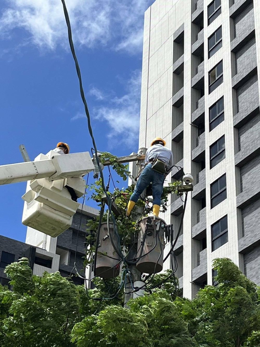 搶修楊柳颱風外圍環流停電 台電北西區處力拼今晚23:00復電 1 《圖說》台電北西區處搶修人員更換颱風吹斷開關木橫擔,完成作業並恢復供電。〈北西區處提供〉