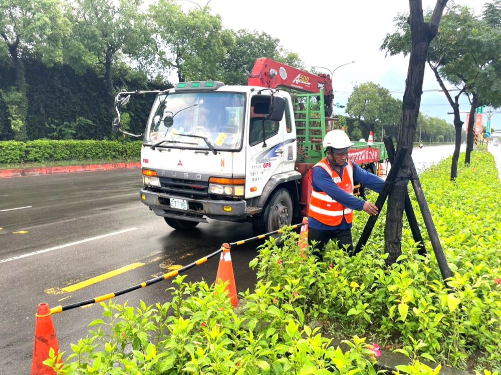 《圖說》颱風來襲前加強樹木巡檢。〈消防局提供〉