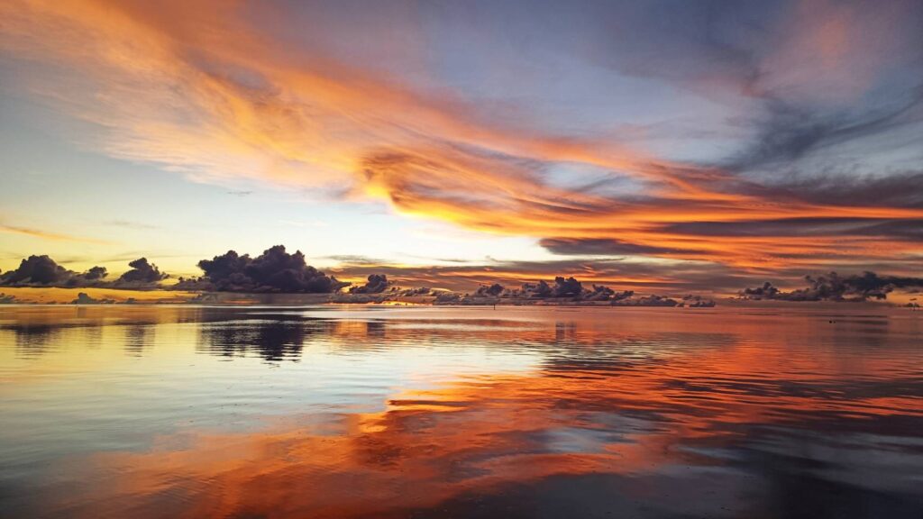 帛琉總統惠恕仁VS楊文琪 歡迎台人成為帛琉「數位居民」 3 285683