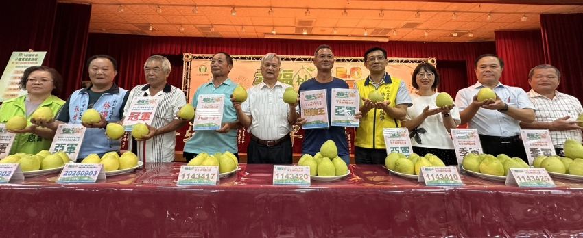 《圖說》八里文旦柚評鑑結果揭曉。〈農業局提供〉