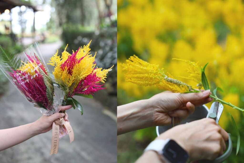 %E3%80%8C%E6%88%80%E6%84%9B%E5%8D%B3%E5%88%BB%E6%8B%8D%E3%80%8D%E4%B8%80%E6%97%A5%E7%B4%84%E6%9C%83%EF%BC%8C%E5%AD%A3%E7%AF%80%E9%99%90%E5%AE%9A%E7%81%AB%E7%84%B0%E9%9B%9E%E5%86%A0%E8%8A%B1%E8%8A%B1%E6%9D%9F%E8%A3%BD%E4%BD%9C%EF%BC%8C%E4%BA%AB%E5%8F%97%E6%A5%B5%E8%87%B4%E8%80%81%E6%B4%BE%E7%9A%84%E6%B5%AA%E6%BC%AB%E7%B4%84%E6%9C%83%E3%80%82