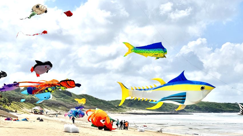 《圖說》2025新北市北海岸國際風箏節以「海洋生物」為設計主軸，將有鯨魚、海螺、獅子魚、章魚…等多款海洋生物造型。〈石門區公所提供〉