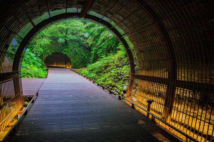 《圖說》「三貂嶺生態友善隧道」公私協力、跨域合作，打造生態友善示範區，實現綠色旅遊。〈觀旅局提供〉