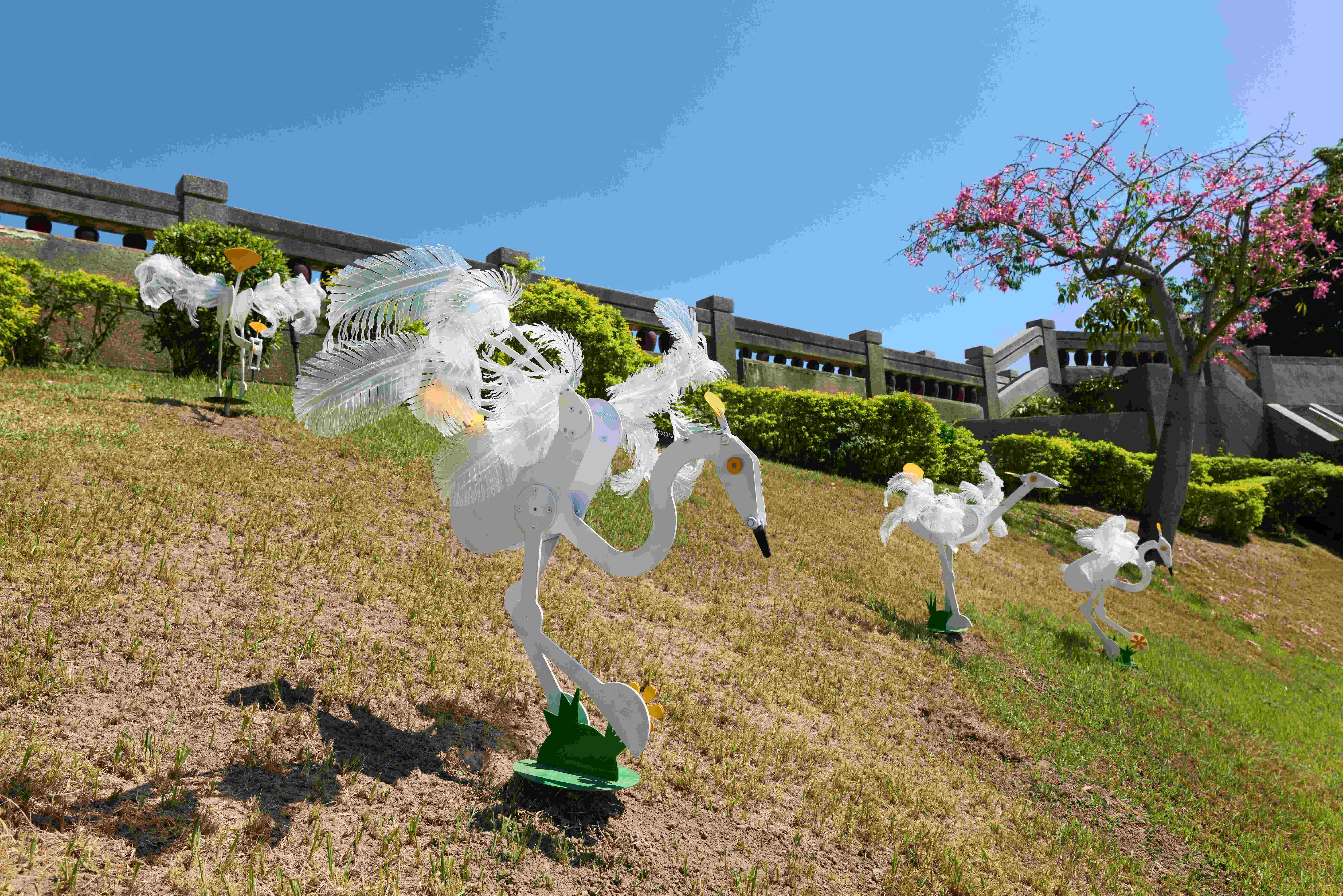 清水走走藝術季邀隨潮汐旅行 傾聽濕地的聲音與招潮蟹共舞  | 索引新聞 INDEX News